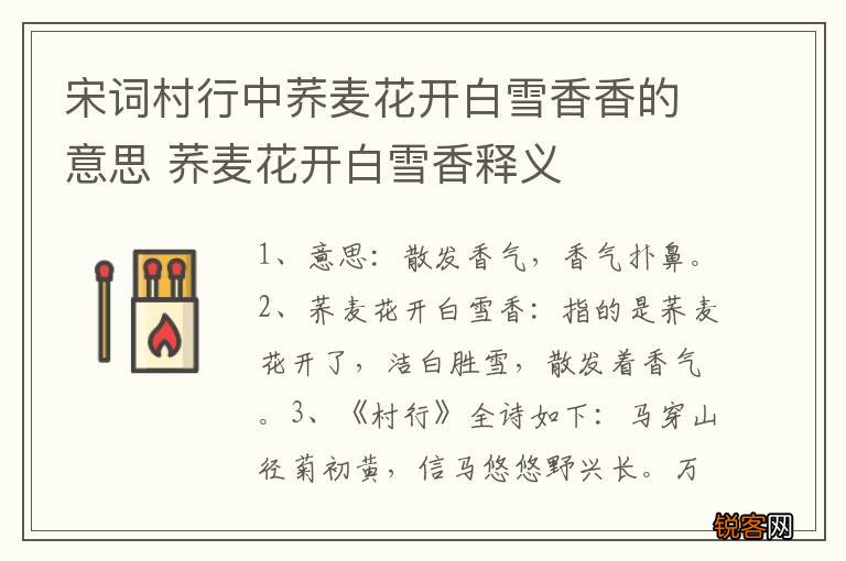 宋词村行中荞麦花开白雪香香的意思 荞麦花开白雪香释义