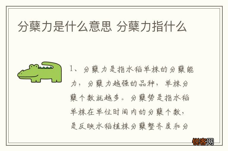 分蘖力是什么意思 分蘖力指什么