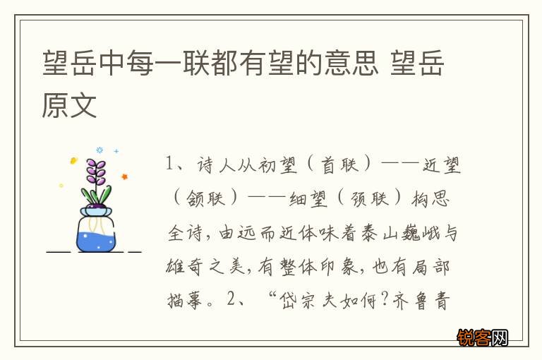 望岳中每一联都有望的意思 望岳原文