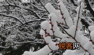 已是悬崖百丈冰犹有花枝俏这句诗的意思 已是悬崖百丈冰犹有花枝俏的意思