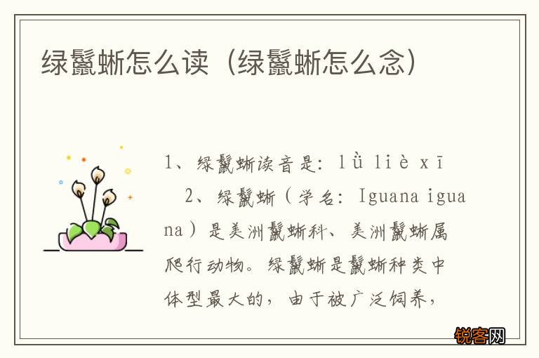 绿鬣蜥怎么念 绿鬣蜥怎么读