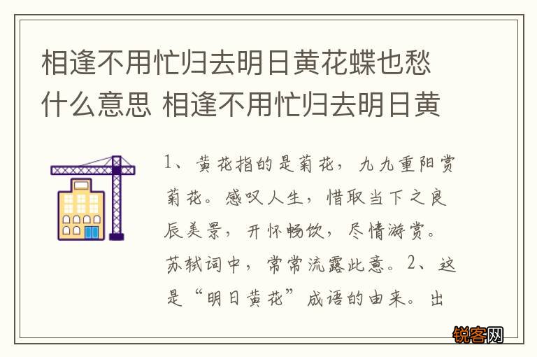 相逢不用忙归去明日黄花蝶也愁什么意思 相逢不用忙归去明日黄花蝶也愁的意思