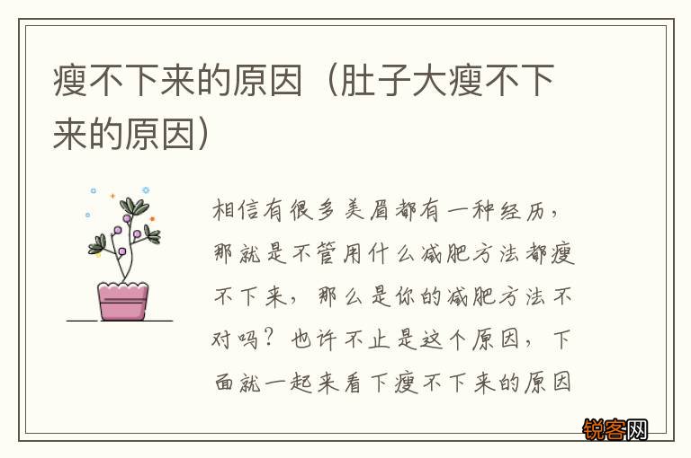 肚子大瘦不下来的原因 瘦不下来的原因