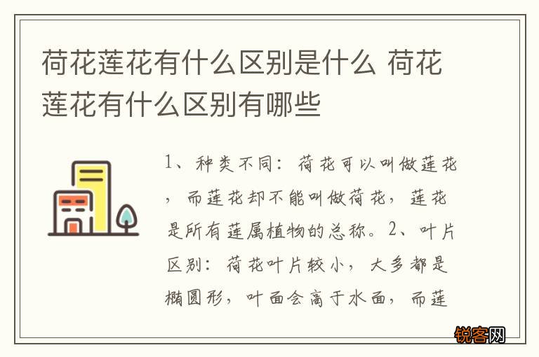 荷花莲花有什么区别是什么 荷花莲花有什么区别有哪些
