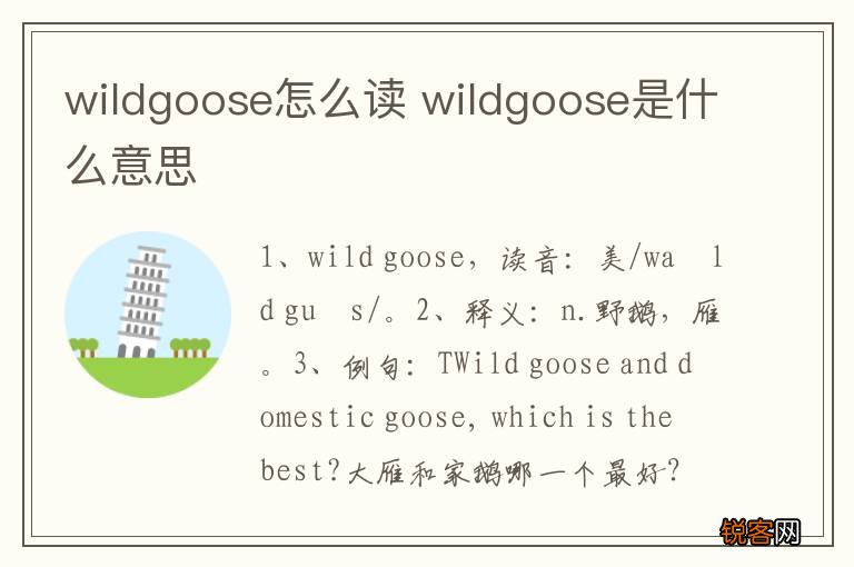 wildgoose怎么读 wildgoose是什么意思
