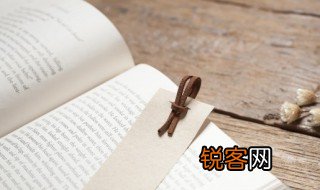 芦柴棒的意思 芦柴棒指什么