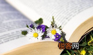 纰漏的意思 纰漏的解释