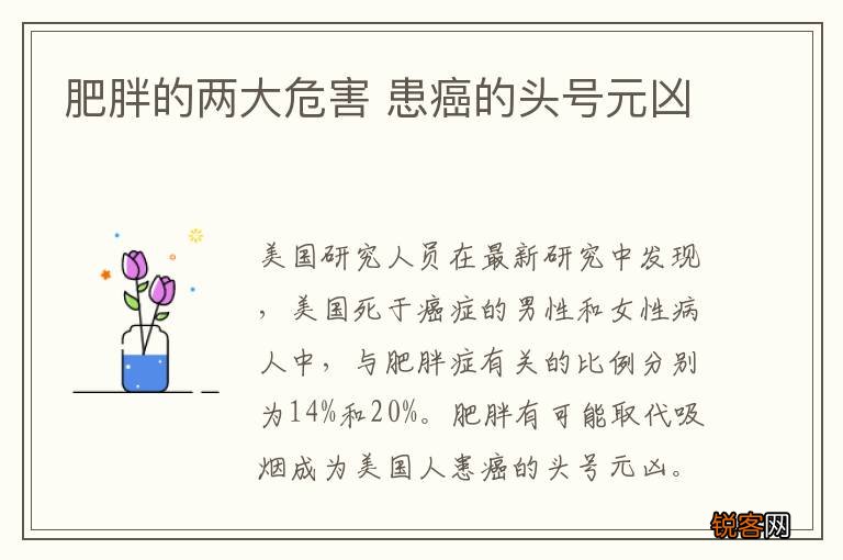 肥胖的两大危害 患癌的头号元凶