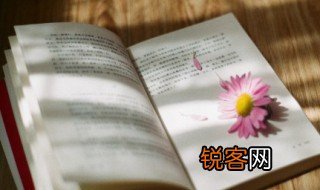 孙怎么组词 孙的组词