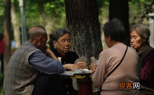 适合老人培养的兴趣爱好 想开心快乐全靠自己去寻找