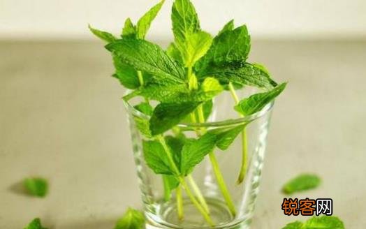 老人护牙必须知道的7个误区 能保护牙齿的9种食物