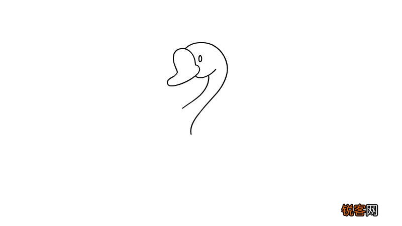 天鹅简笔画 天鹅简笔画画法