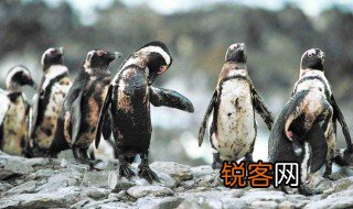 环境问题的分类 环境问题如何分类