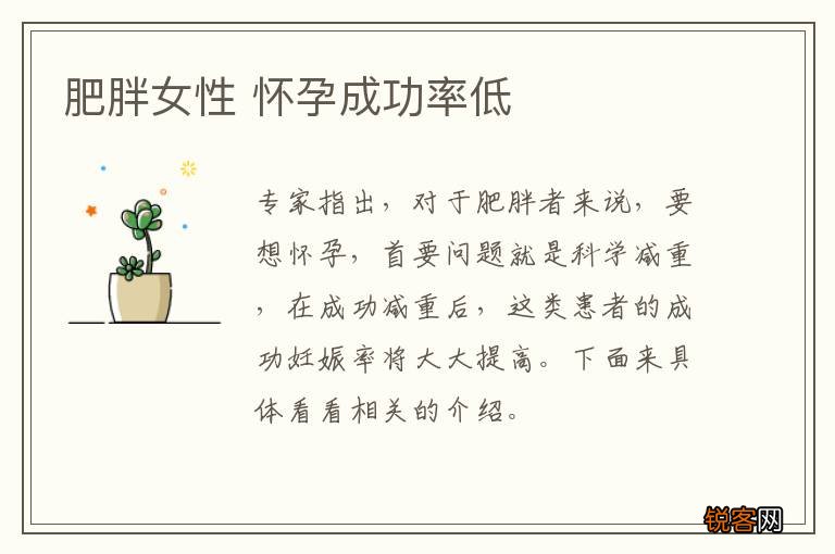 肥胖女性 怀孕成功率低