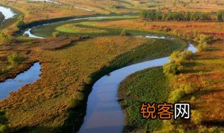 地球之肾是什么生态系统 地球之肾是指什么