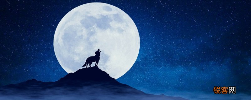 笨狼上学的故事 笨狼上学的故事是什么