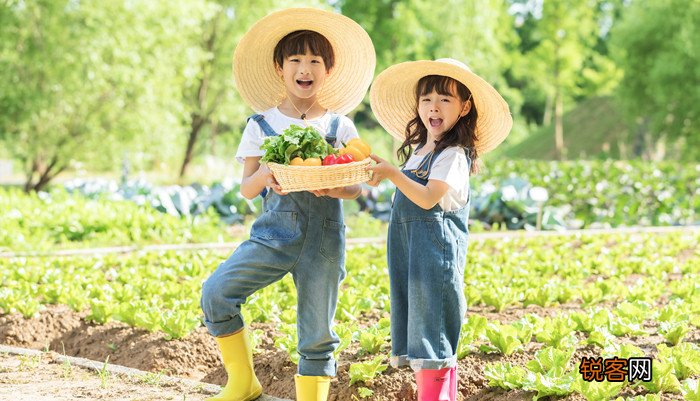 如何引导幼儿认识蔬菜 怎么教宝宝认识蔬菜