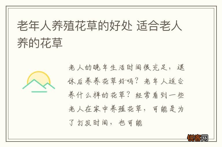 老年人养殖花草的好处 适合老人养的花草