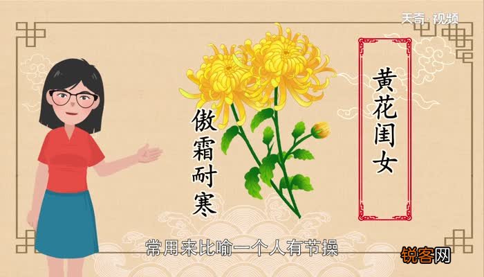 黄花闺女中的黄花指的是什么 黄花闺女中的黄花是什么意思