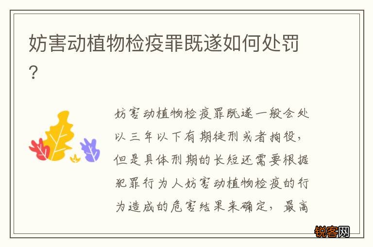 妨害动植物检疫罪既遂如何处罚?