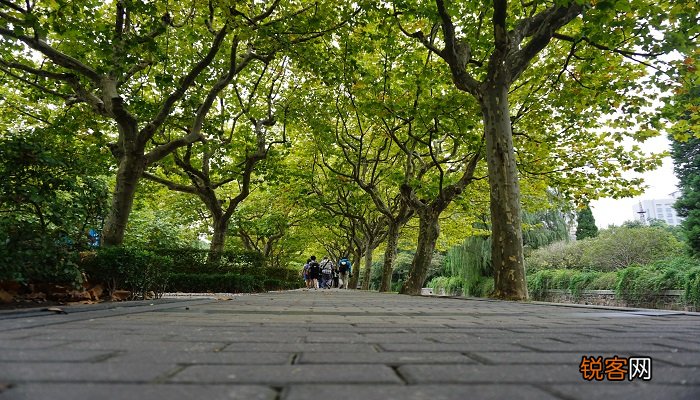 华东师范大学分数线 2019年华东师范大学分数线
