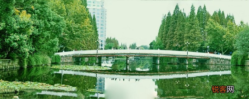 华东师范大学分数线 2019年华东师范大学分数线