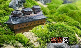 苔古诗青春的意思 苔古诗青春的释义