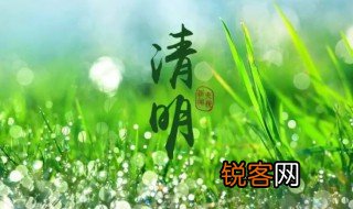 二十四节气中既是节气又是传统节日的是 既是节气又是传统节日的是哪个节日