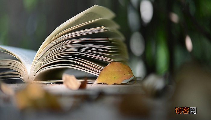 老人与海中老人的人物形象 老人与海中老人的人物形象分析