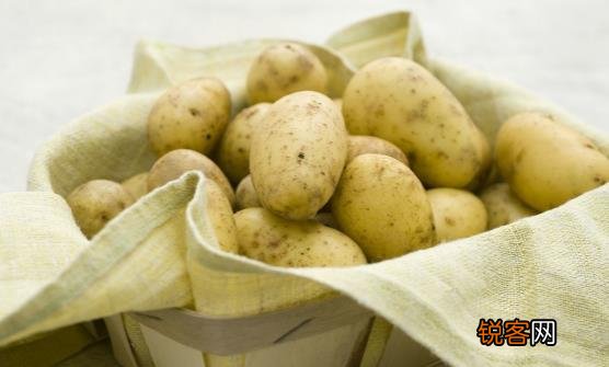 老人补钾控制血压预防中风 绿叶菜含钾赛香蕉