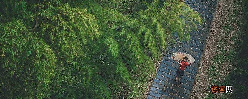 好雨知时节当春乃发生赏析 好雨知时节的感悟