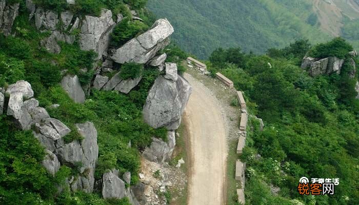 终南山描绘景象的视角有什么特色 终南山描绘景象的视角特色