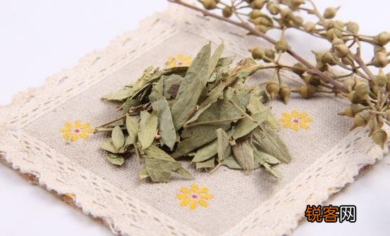 番泻叶减肥方法千万别尝试 伤害身体还没效果