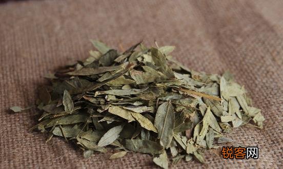 番泻叶减肥方法千万别尝试 伤害身体还没效果