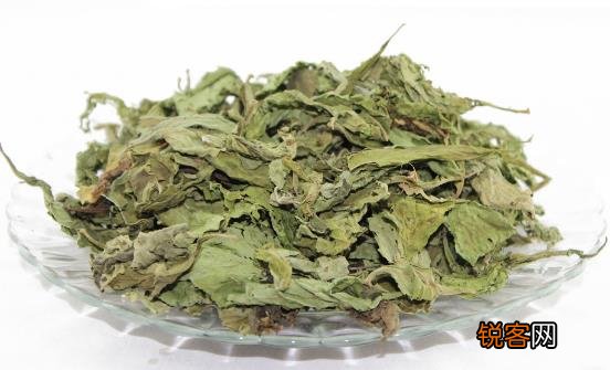 番泻叶减肥方法千万别尝试 伤害身体还没效果