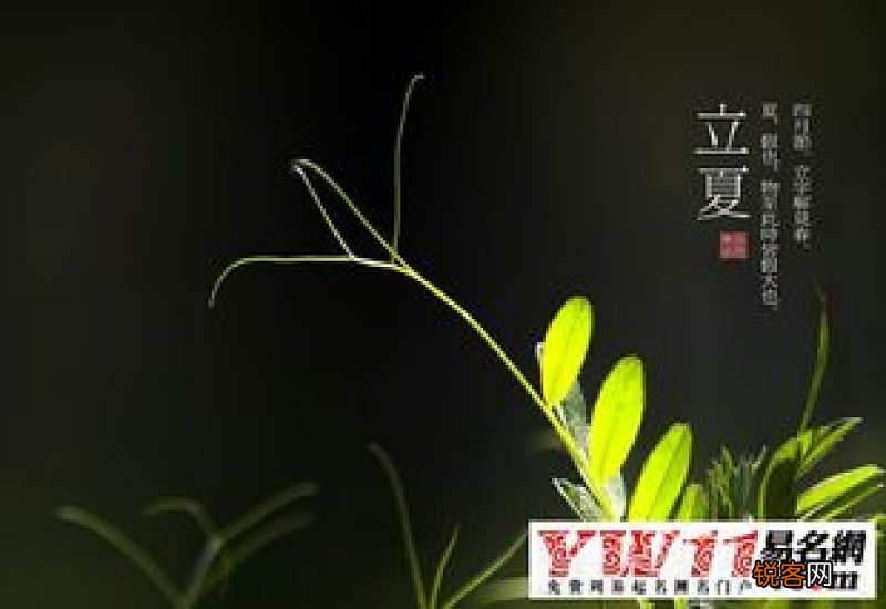 立夏的由来和风俗简介
