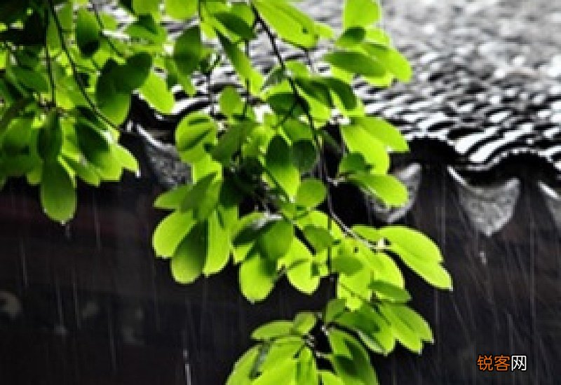 梅雨季节是什么时间