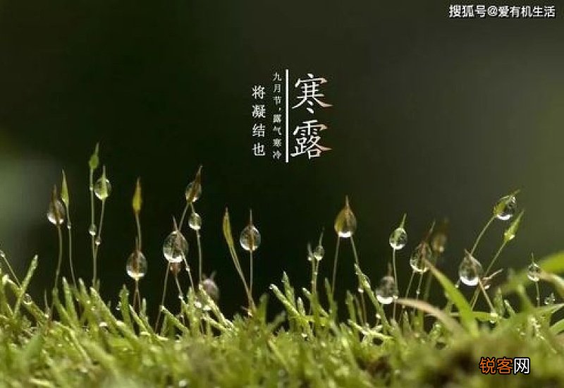 寒露节气的含义是什么