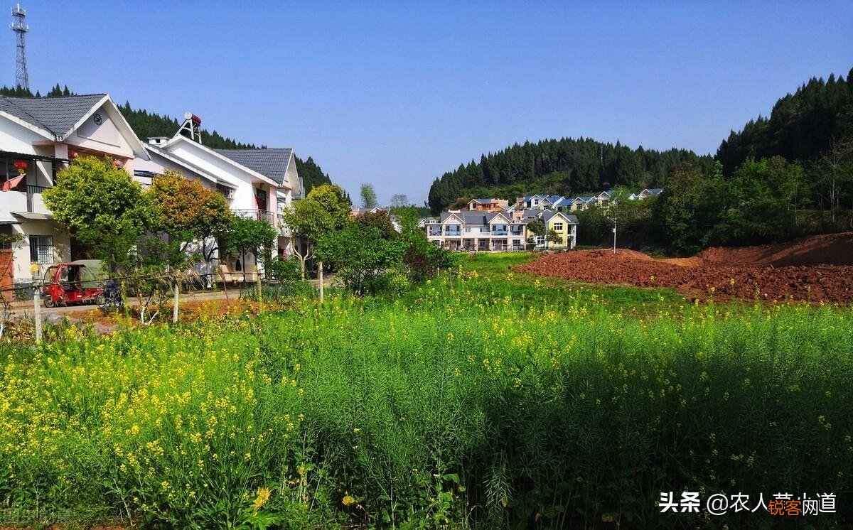 在农村盖个房子多少钱 农村自建房大概花多少费用