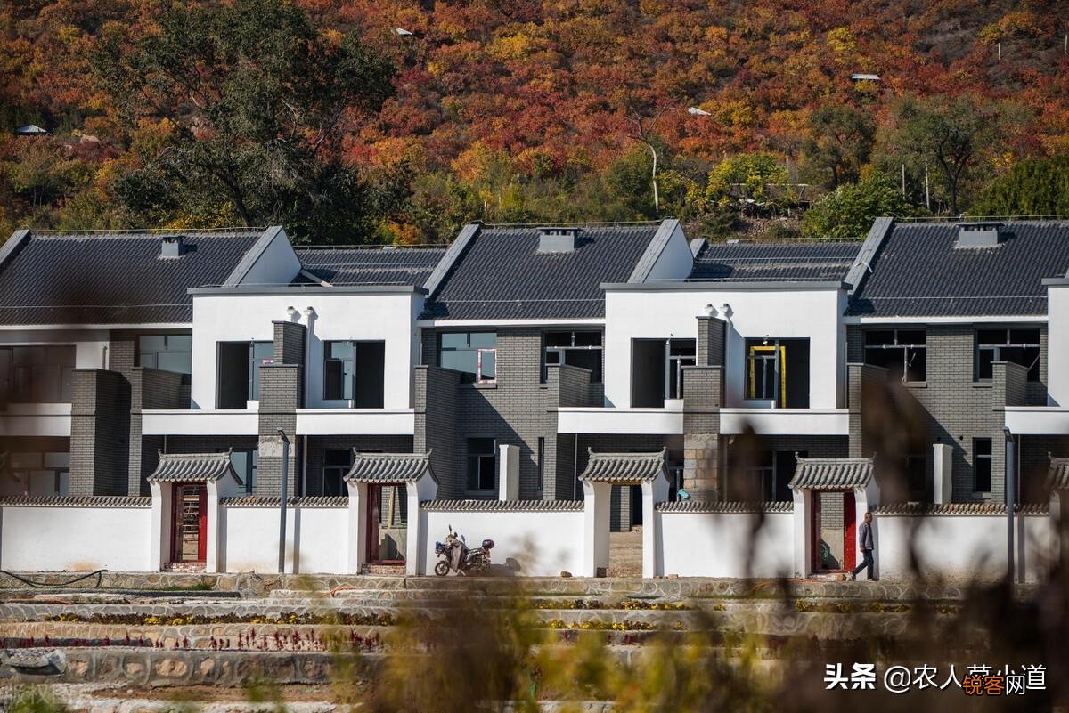 在农村盖个房子多少钱 农村自建房大概花多少费用