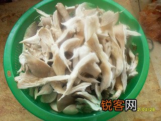 蘑菇炒鸡蛋的做法