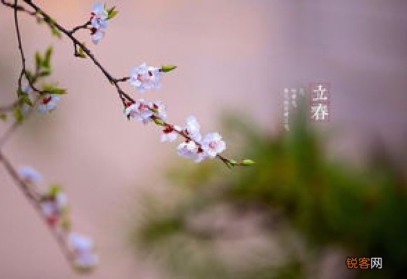 一年两个立春有什么说法