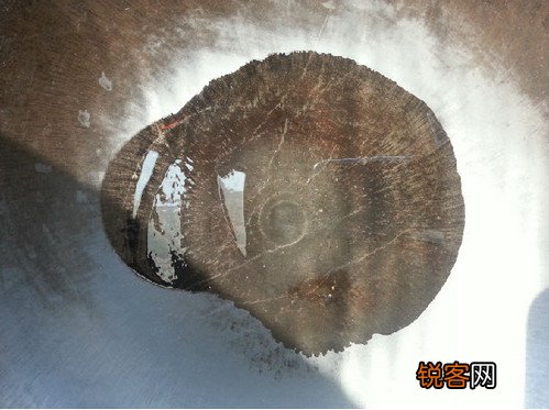 花生炒猪脚
