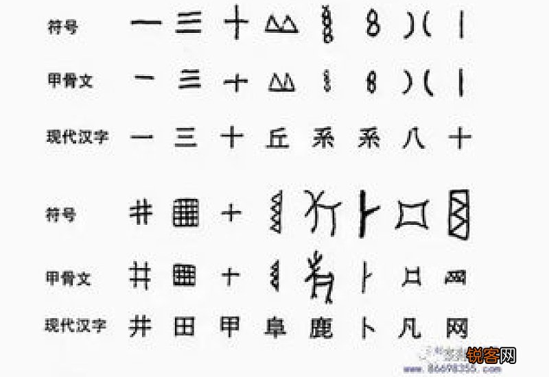 甲骨文为什么叫甲骨文