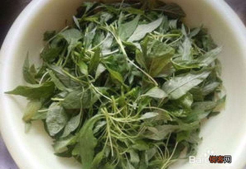苋菜为什么炒出来是红的？苋菜怎么吃