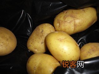 清炒双丝的做法