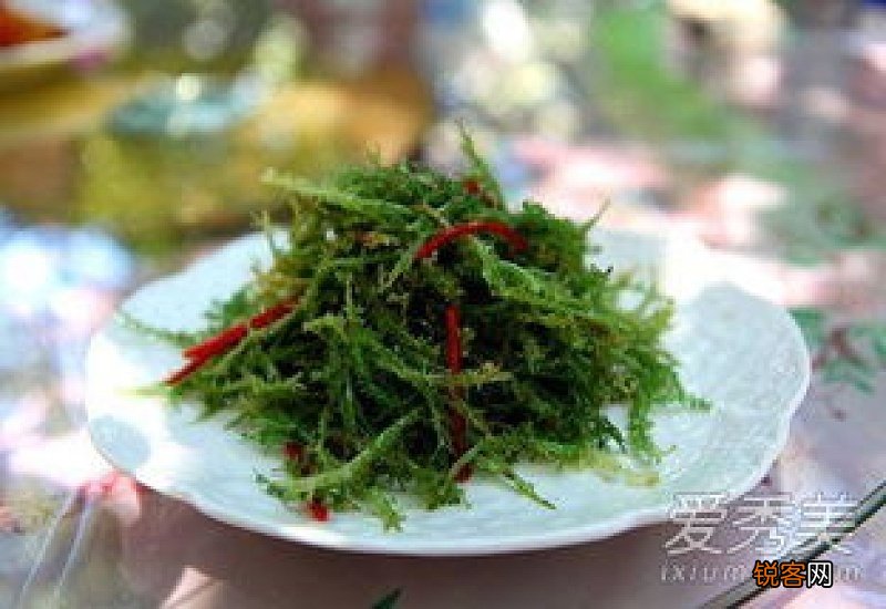 石花菜和鹿角菜的区别有什么？鹿角菜孕妇可以吃吗