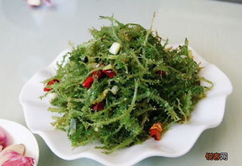 鹿角菜长什么样子？干鹿角菜的处理方法