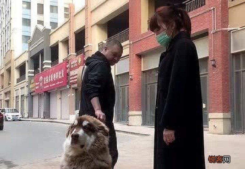 德牧会不会跟陌生人走