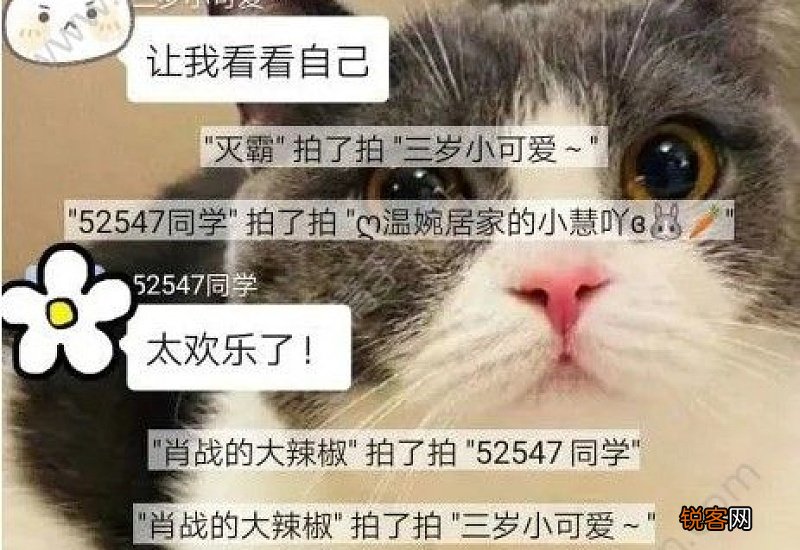 在微信怎么拍一拍别人并说话